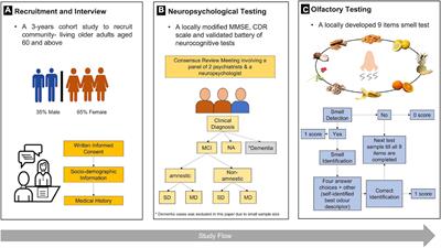 Olfactory dysfunction is associated with mild cognitive impairment in community-dwelling older adults